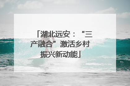 湖北远安：“三产融合”激活乡村振兴新动能