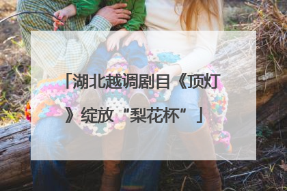 湖北越调剧目《顶灯》绽放“梨花杯”