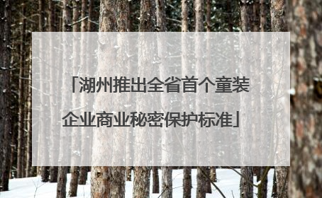 湖州推出全省首个童装企业商业秘密保护标准