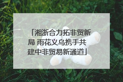 湘浙合力拓非贸新局 雨花义乌携手共建中非贸易新通道