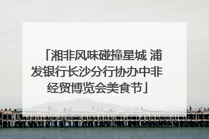 湘非风味碰撞星城 浦发银行长沙分行协办中非经贸博览会美食节