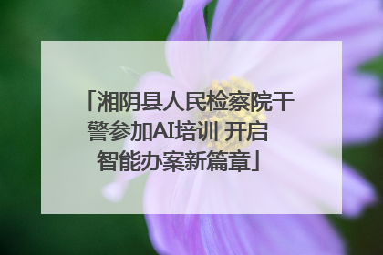 湘阴县人民检察院干警参加AI培训 开启智能办案新篇章