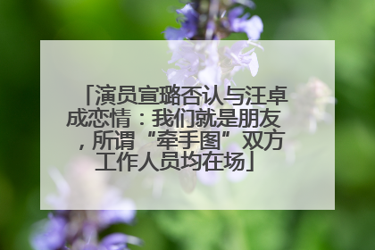 演员宣璐否认与汪卓成恋情：我们就是朋友，所谓“牵手图”双方工作人员均在场