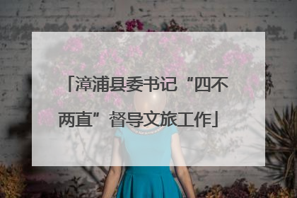 漳浦县委书记“四不两直”督导文旅工作