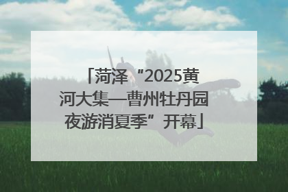 菏泽“2025黄河大集—曹州牡丹园夜游消夏季”开幕