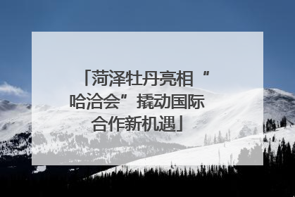菏泽牡丹亮相“哈洽会”撬动国际合作新机遇