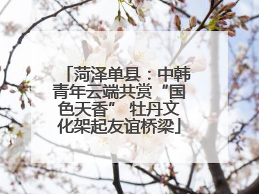 菏泽单县：中韩青年云端共赏“国色天香” 牡丹文化架起友谊桥梁