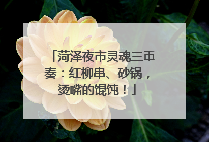 菏泽夜市灵魂三重奏：红柳串、砂锅，烫嘴的馄饨！