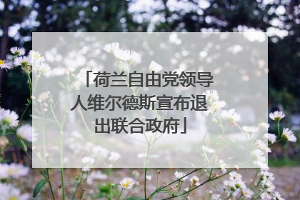 荷兰自由党领导人维尔德斯宣布退出联合政府