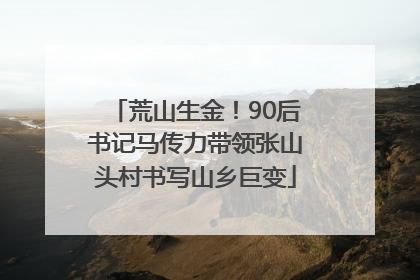荒山生金！90后书记马传力带领张山头村书写山乡巨变