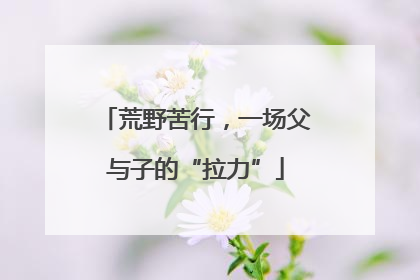 荒野苦行，一场父与子的“拉力”