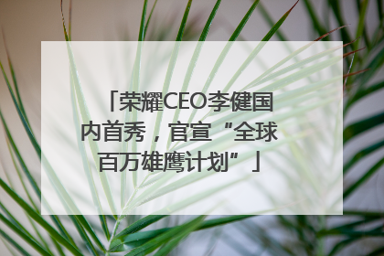 荣耀CEO李健国内首秀，官宣“全球百万雄鹰计划”