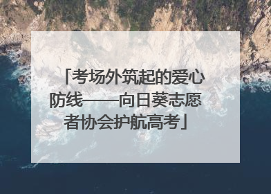考场外筑起的爱心防线——向日葵志愿者协会护航高考