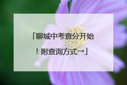 聊城中考查分开始！附查询方式→