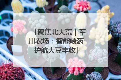 聚焦北大荒｜军川农场：智能喷药护航大豆丰收