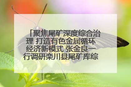 聚焦尾矿深度综合治理 打造有色金属循环经济新模式 张金良一行调研栾川县尾矿库综合治理工作