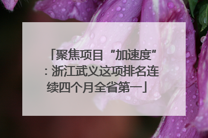 聚焦项目“加速度”：浙江武义这项排名连续四个月全省第一