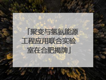聚变与氢氨能源工程应用联合实验室在合肥揭牌