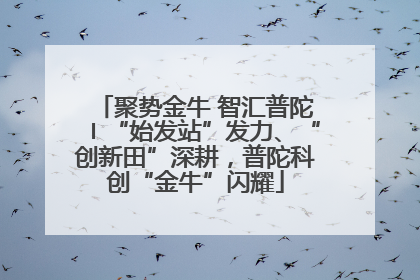 聚势金牛 智汇普陀〡“始发站”发力、“创新田”深耕，普陀科创“金牛”闪耀