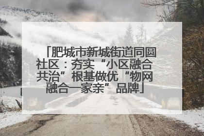肥城市新城街道同圆社区：夯实“小区融合共治”根基做优“物网融合一家亲”品牌