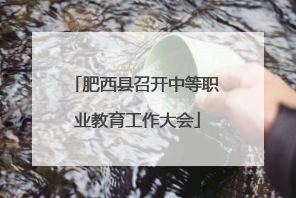 肥西县召开中等职业教育工作大会