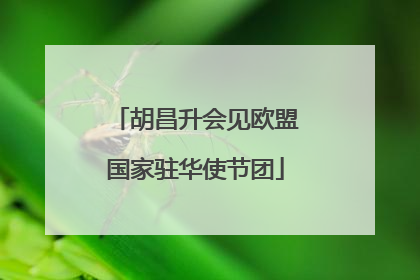 胡昌升会见欧盟国家驻华使节团