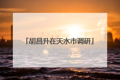 胡昌升在天水市调研