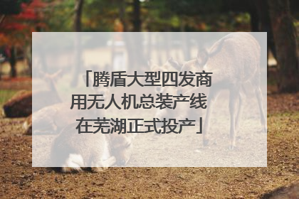 腾盾大型四发商用无人机总装产线在芜湖正式投产