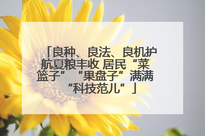 良种、良法、良机护航夏粮丰收 居民“菜篮子”“果盘子”满满“科技范儿”