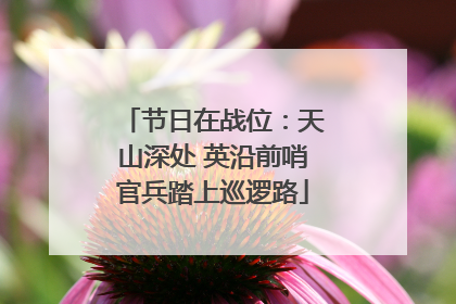 节日在战位：天山深处 英沿前哨官兵踏上巡逻路