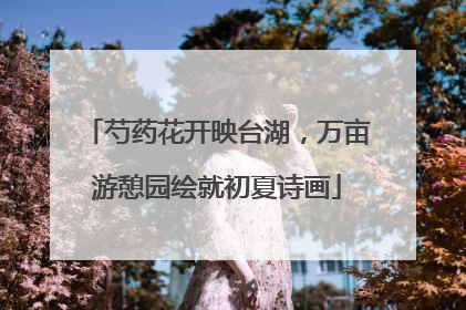 芍药花开映台湖，万亩游憩园绘就初夏诗画