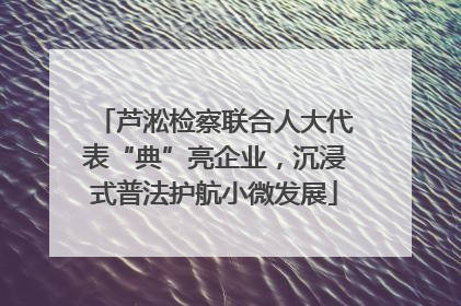 芦淞检察联合人大代表“典”亮企业，沉浸式普法护航小微发展