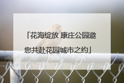 花海绽放 康庄公园邀您共赴花园城市之约