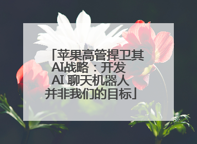 苹果高管捍卫其AI战略：开发 AI 聊天机器人并非我们的目标