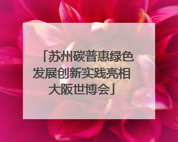 苏州碳普惠绿色发展创新实践亮相大阪世博会