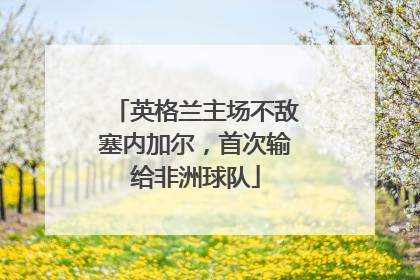 英格兰主场不敌塞内加尔，首次输给非洲球队