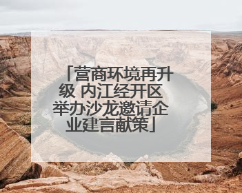 营商环境再升级 内江经开区举办沙龙邀请企业建言献策
