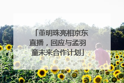 董明珠亮相京东直播，回应与孟羽童未来合作计划