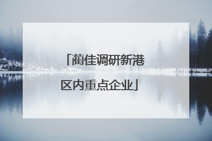 蔺佳调研新港区内重点企业