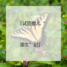 试管婴儿“重生”记