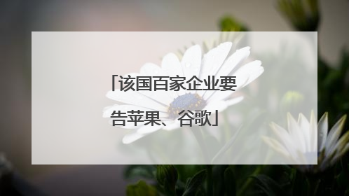 该国百家企业要告苹果、谷歌