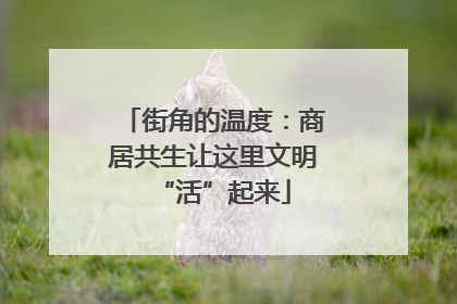 街角的温度：商居共生让这里文明“活”起来
