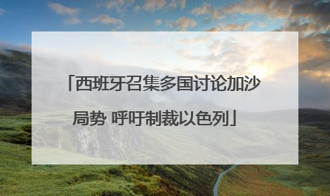 西班牙召集多国讨论加沙局势 呼吁制裁以色列