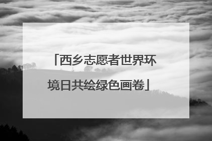 西乡志愿者世界环境日共绘绿色画卷