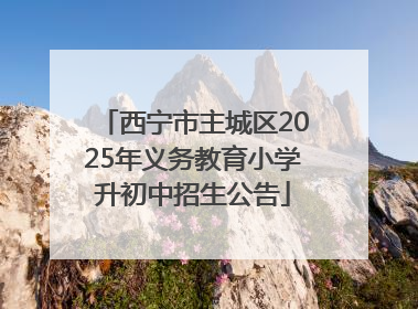 西宁市主城区2025年义务教育小学升初中招生公告