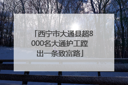 西宁市大通县超8000名大通护工蹚出一条致富路