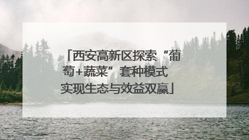 西安高新区探索“葡萄+蔬菜”套种模式 实现生态与效益双赢