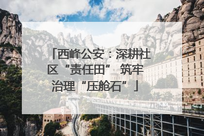 西峰公安：深耕社区“责任田” 筑牢治理“压舱石”