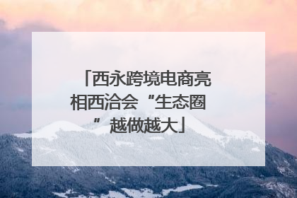 西永跨境电商亮相西洽会“生态圈”越做越大