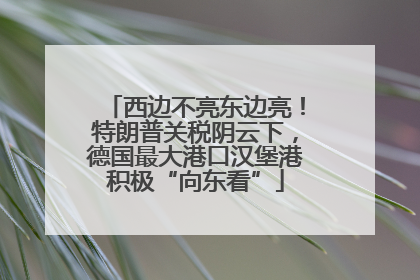 西边不亮东边亮！特朗普关税阴云下，德国最大港口汉堡港积极“向东看”